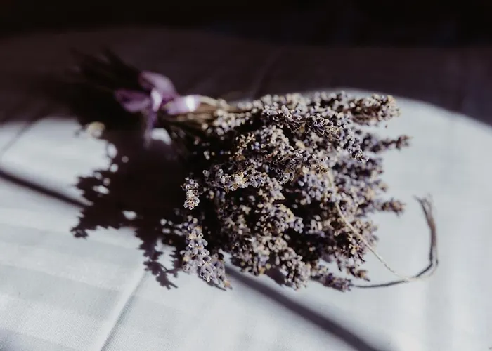 Domek alpejski Lawendowe