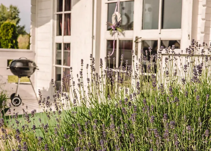 Lawendowe Domek alpejski