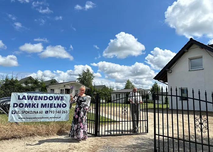 Lawendowe *